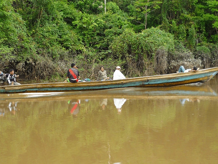 Navegando por el amazonas